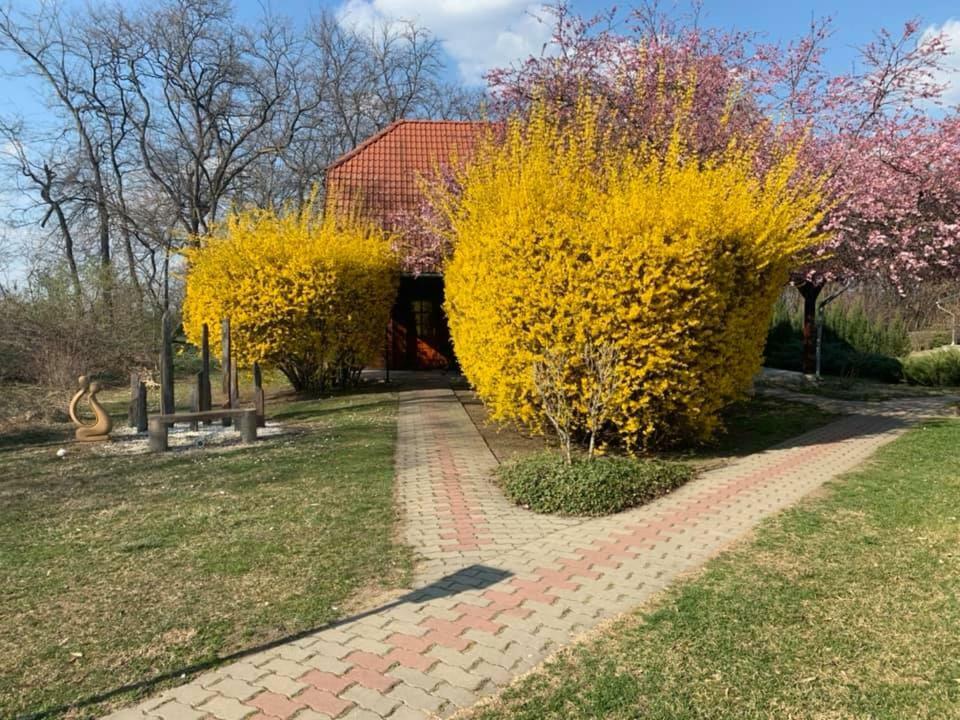 Sipito Pihenopark Pilis Bagian luar foto